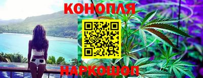 крисы Свободный