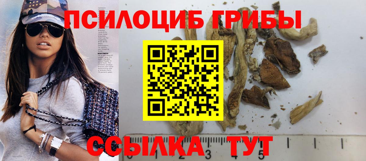 Галлюциногенные грибы Psilocybe  Вход с VPN  Новошахтинск  Галлюциногенные грибы Psilocybe 